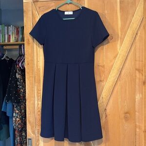 Women’s Navy Dress